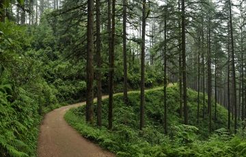 Beautiful 7 Days 6 Nights Mussoorie, Dhanaulti with Chamba Vacation Package