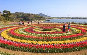 Best 4 Days 3 Nights Pahalgam Tour Package