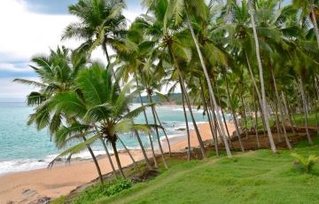 Ecstatic 4 Days 3 Nights Cochin, Alleppey and Munnar Trip Package