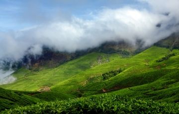 Ecstatic 4 Days 3 Nights Cochin, Alleppey and Munnar Trip Package