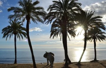 Best 6 Days 5 Nights Havelock Holiday Package