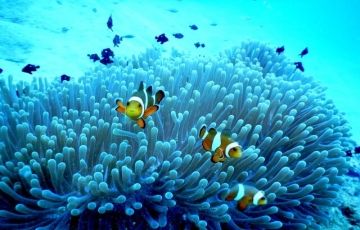 Memorable 7 Days 6 Nights Port Blair, Havelock and Neil Trip Package