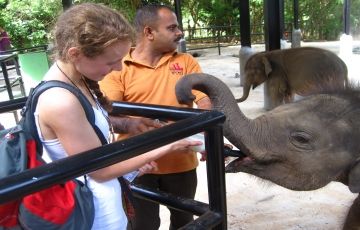 Magical 6 Days 5 Nights Kandy Tour Package