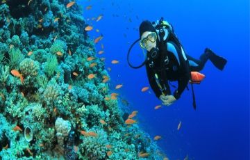 4 Days 3 Nights Chennai to Port Blair Tour Package