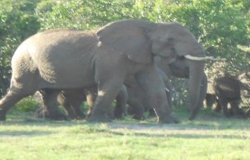 Best 3 Days 2 Nights Masai Tour Package Best 3 Days 2 Nights Masai Tour Package