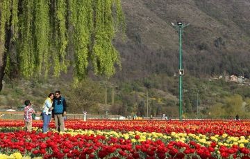 Pleasurable 3 Days 2 Nights Srinagar, Sonamarg with Pahalgam Trip Package