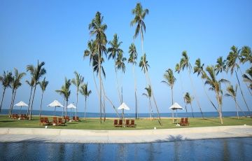 Heart-warming 8 Days 7 Nights Nuwara Eliya Trip Package Heart-warming 8 Days 7 Nights Nuwara Eliya Trip Package