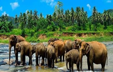 Beautiful Colombo Tour Package for 4 Days 3 Nights