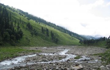 Heart-warming 6 Days 5 Nights Manali, Chhika and Juara Holiday Package