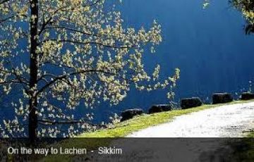 Best 5 Days 4 Nights Gangtok, Lachung with Tsongo Lake Holiday Package