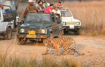 Magical 3 Days 2 Nights Ranthambore Holiday Package