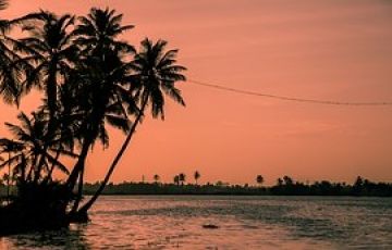 Experience 4 Days 3 Nights Munnar, Cochin with Alleppey Holiday Package