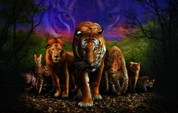 3 Days Delhi to Singapore Tour Package