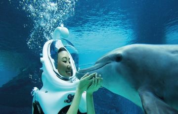 Experience 3 Days 2 Nights Singapore Trip Package