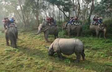 Nepal - Chitwan Tour Package