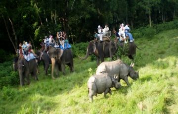 Nepal - Chitwan Tour Package