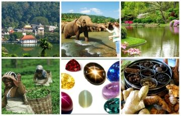 Amazing 4 Days 3 Nights Kandy with Colombo Tour Package
