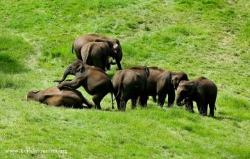 Experience 3 Days 2 Nights Thekkady Holiday Package