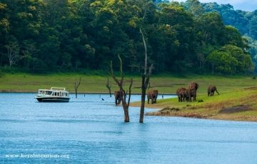 Experience 3 Days 2 Nights Thekkady Holiday Package