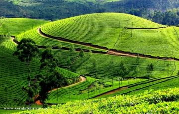 Best Cochin Tour Package for 3 Days 2 Nights