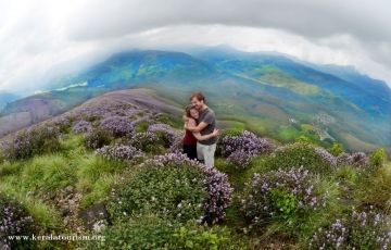 Best 5 Days 4 Nights Munnar, Thekkady with Alleppey Tour Package