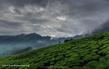 Magical 4 Days 3 Nights Munnar with Alleppey Vacation Package