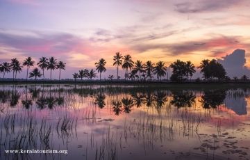 Ecstatic 2 Days Alleppey Tour Package