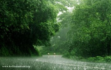 3 Days Wayanad Package