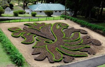 Pleasurable 4 Days 3 Nights Pinnawala Holiday Package