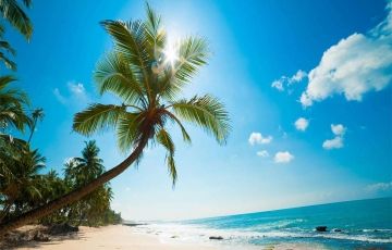 Family Getaway 6 Days 5 Nights Ella Trip Package