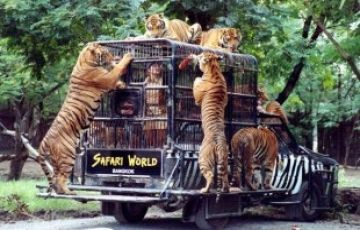 Magical 6 Days 5 Nights Bangkok Temple Vacation Package