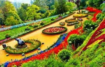 Ecstatic 4 Days 3 Nights Ooty with Pykkara Vacation Package