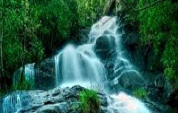 Ecstatic 5 Days 4 Nights coorg Trip Package