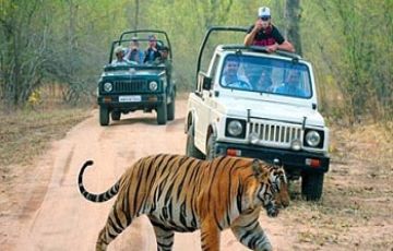 Family Getaway 3 Days 2 Nights Jim Corbett Trip Package