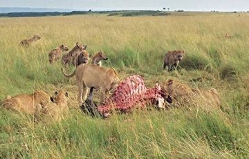 Heart-warming 4 Days 3 Nights nakuru Trip Package