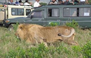 Heart-warming 4 Days 3 Nights nakuru Trip Package
