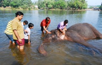 Magical 3 Days 2 Nights Bangalore Vacation Package