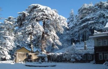 Shimla Tour Package for 3 Days 2 Nights from Delhi by Club Holiday