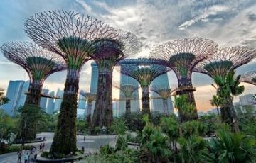 Amazing 11 Days 10 Nights Singapore Tour Package