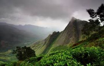 Experience 8 Days 7 Nights Munnar Trip Package