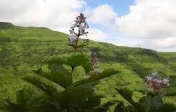 Ecstatic 4 Days 3 Nights Mahabaleshwar, Panchgani Darshan and Pratapgarh Darshan Tour Package