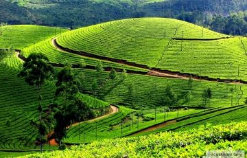 Mysore - Ooty with Kerala Special Holidays Package