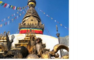 Best 5 Days 4 Nights Kathmandu Trip Package