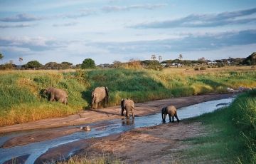 3 Days Arusha to Lake Manyara National Park Vacation Package
