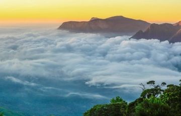 Experience 2 Days 1 Night Mattupetty Dam, Kundala Dam with Munnar Holiday Package