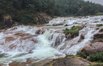 Family Getaway 4 Days 3 Nights Ooty, Pykara and Coonoor Holiday Package