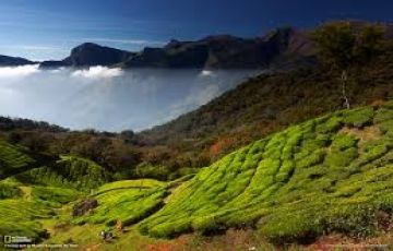 Pleasurable 13 Days 12 Nights Cochi, Trivandrum, Alleppey and Thekkady Holiday Package