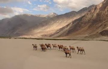Best 6 Days 5 Nights Leh, Alchi, Nubra Valley with Pangong Lake Holiday Package