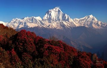 Best 14 Days 13 Nights Kathmandu, Pokhara with Deurali Trip Package