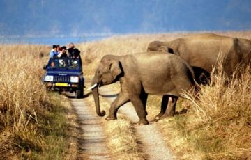 Best 7 Days 6 Nights Delhi, Bharatpur with Ranthambore Trip Package